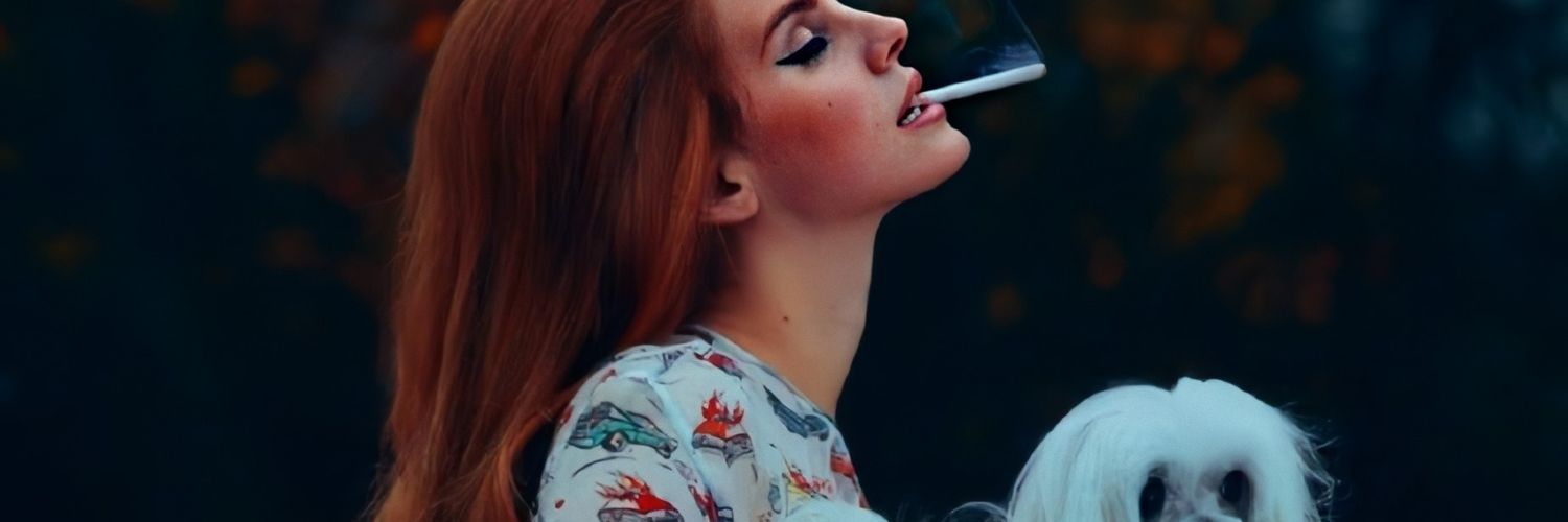 syfuka____'s profile banner image