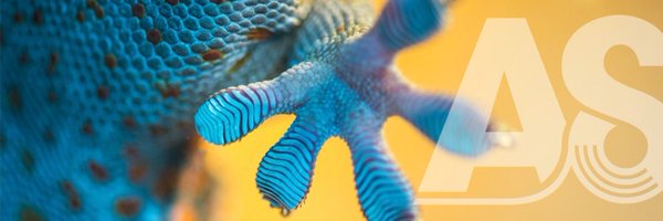 adhesion_the Profile Banner