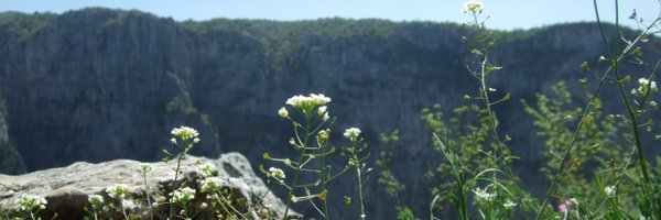 SicardAdrien Profile Banner