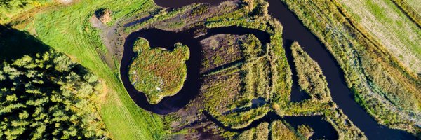 WWFBaltic Profile Banner