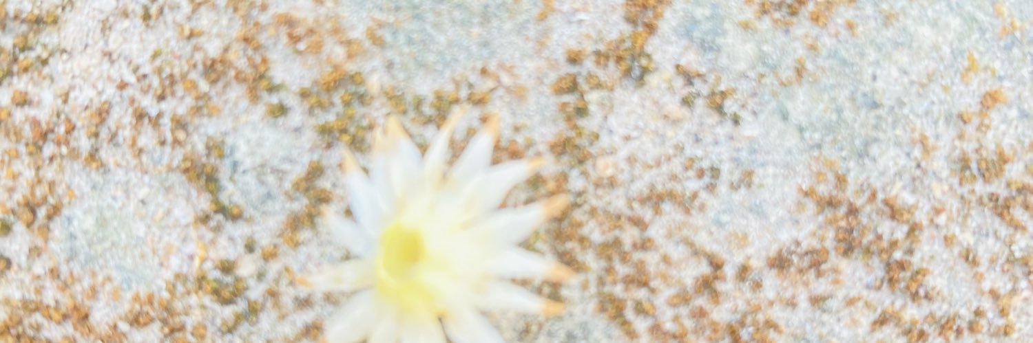 ThanikanB's profile banner image
