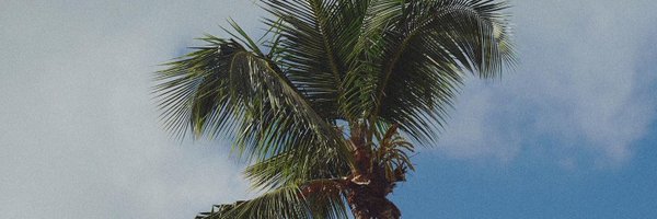 mason42452392 Profile Banner