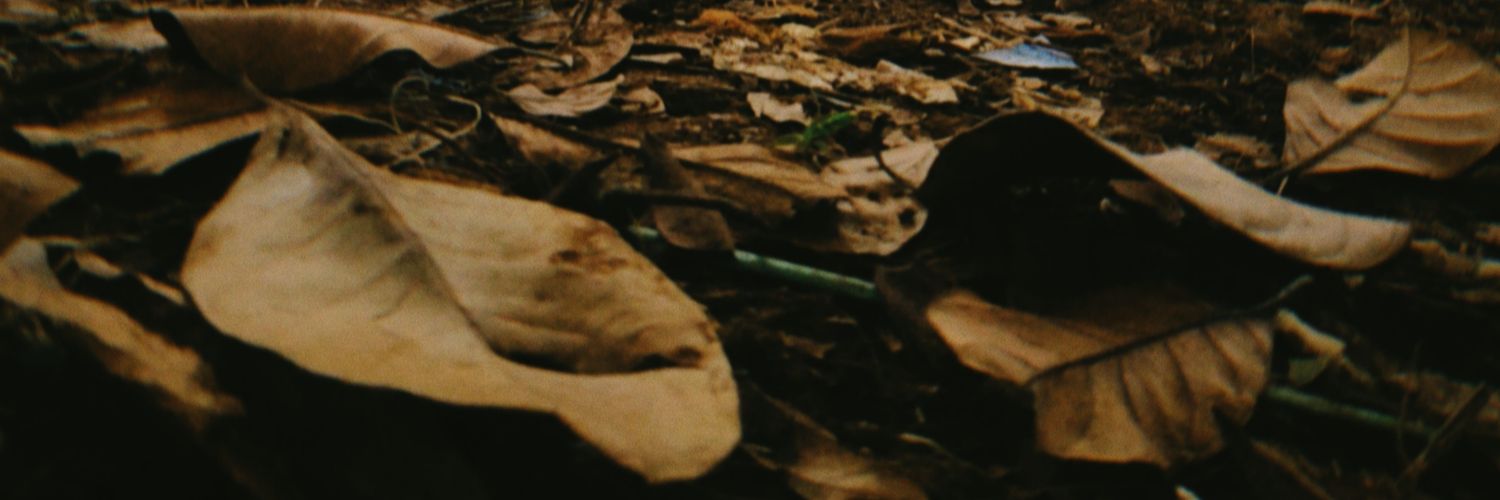 F banner