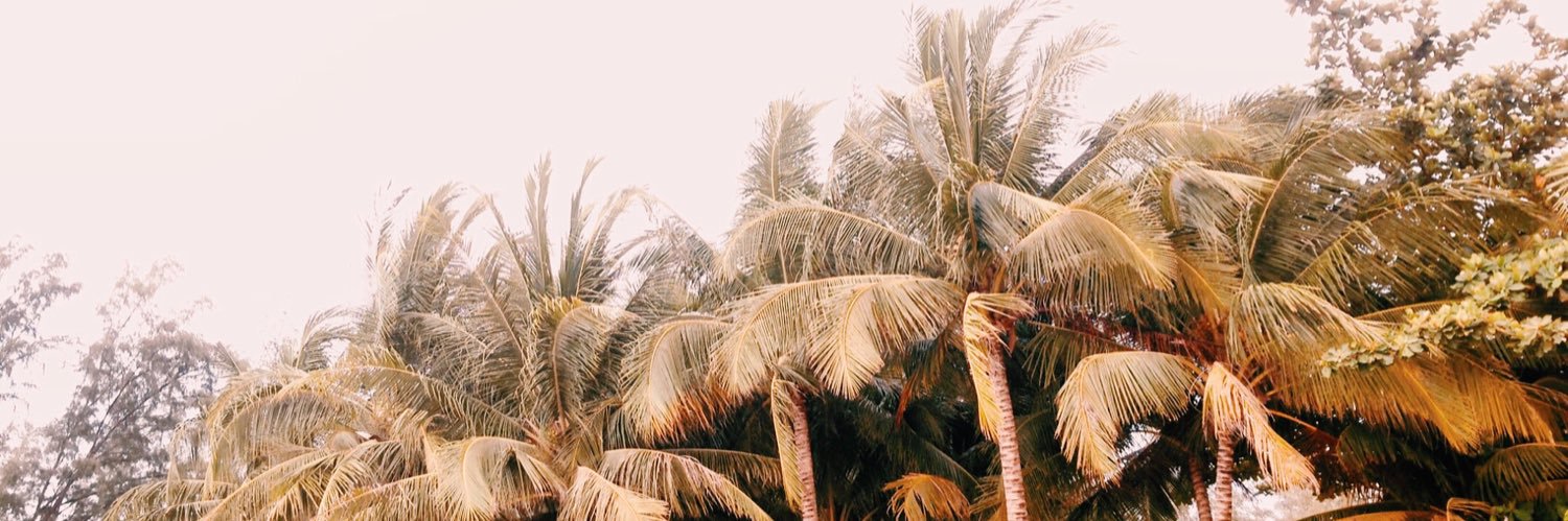 brandyf_'s profile banner image