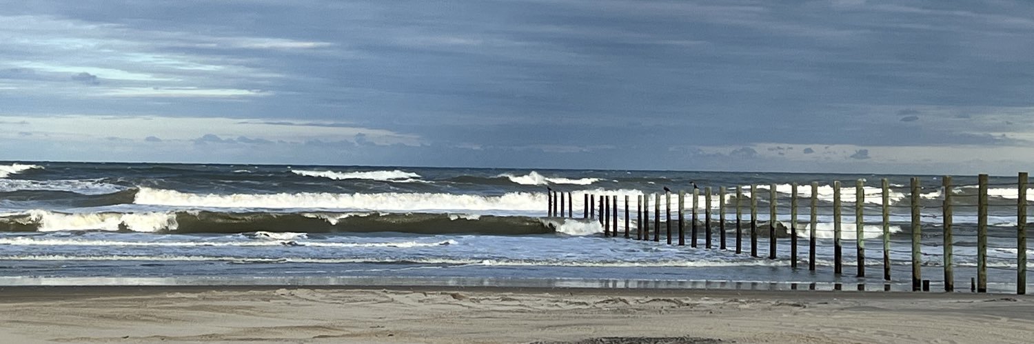 Cassandra Bradby, MD banner