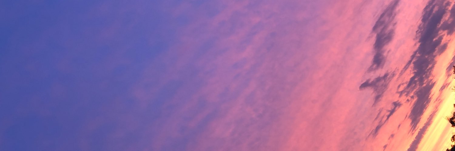 litttlefitz's profile banner image