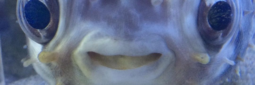 ItsWongderful's profile banner image