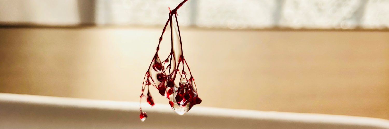 25_chanti's profile banner image