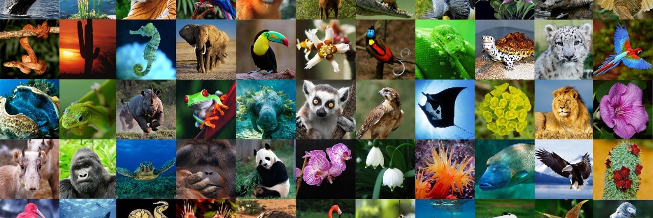 Keith Fry 🌎 banner