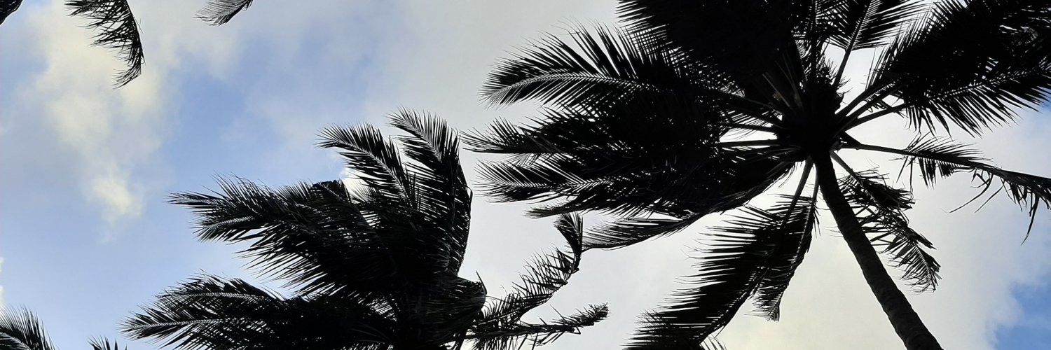 KuriaGib's profile banner image