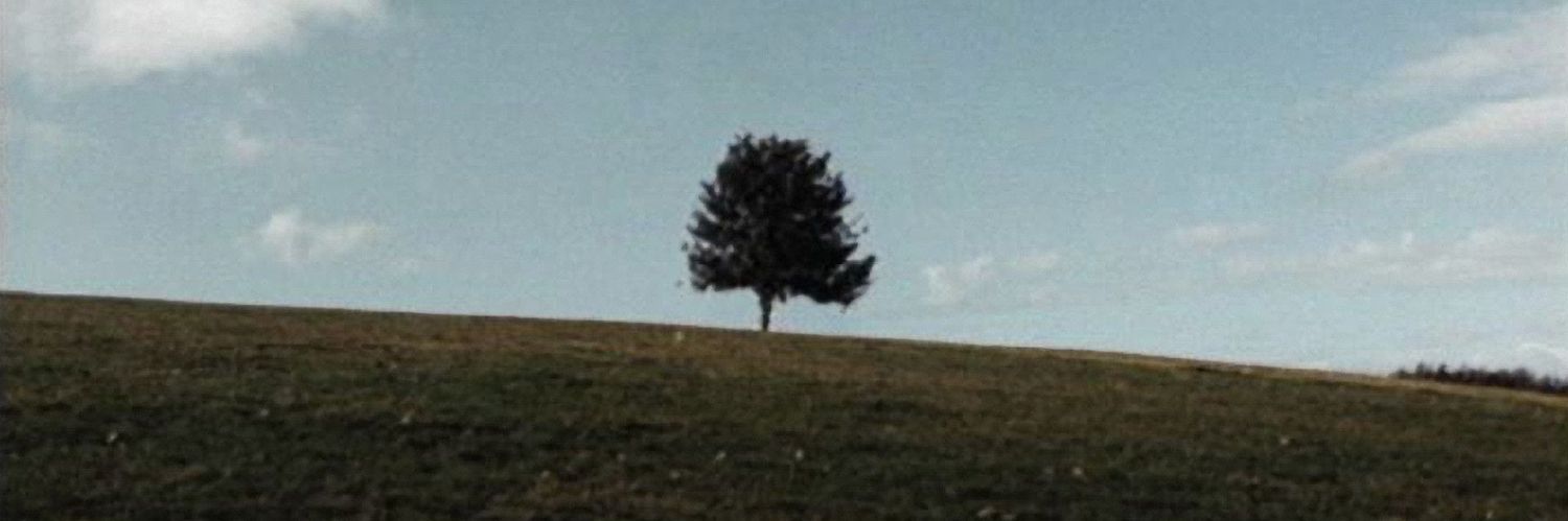 deandrejm's profile banner image