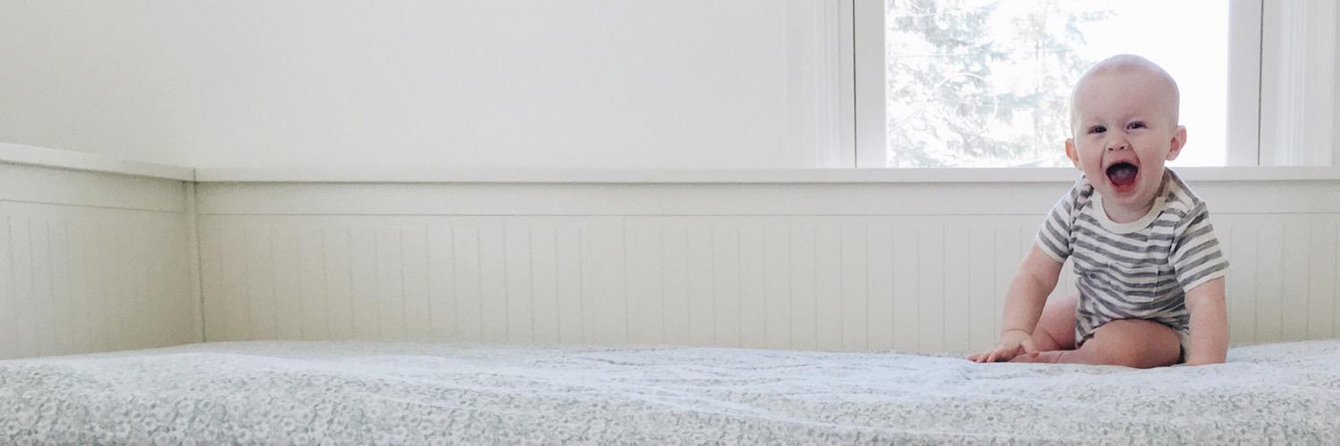 burtsbrisplease's profile banner image