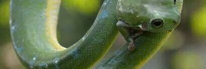 Omolúwàbí Fémi banner