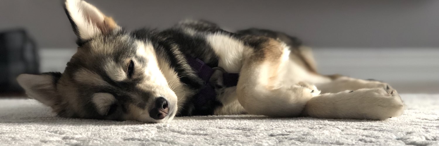 stephseguna's profile banner image