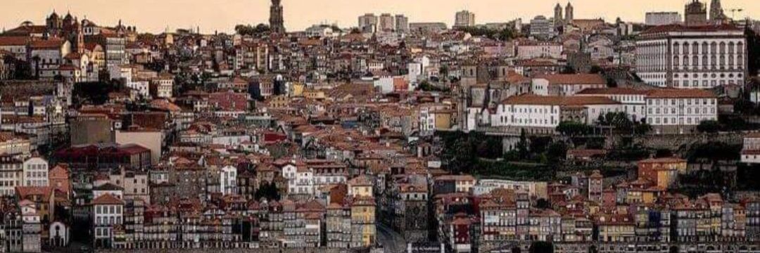 Fernando Pires 🇵🇹🇪🇺🇺🇦 banner