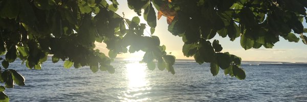 rosalom Profile Banner