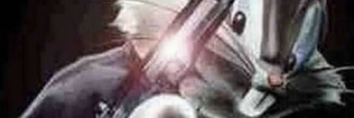 s21318564's profile banner image