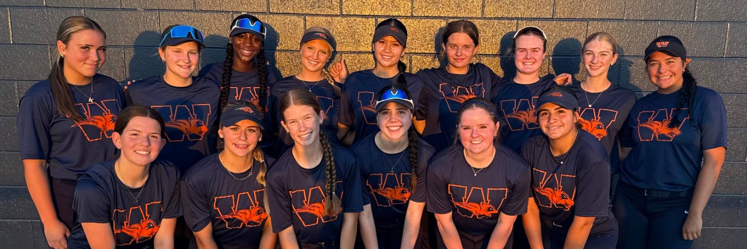 Wakeland Softball banner