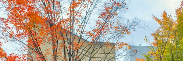 CornellEAS Profile Banner