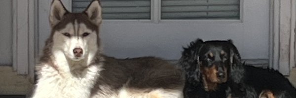 ElijahZaynexxx Profile Banner
