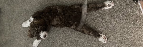 BackmanTalia Profile Banner
