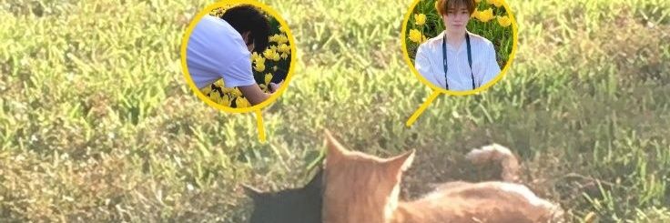 rndmlks's profile banner image
