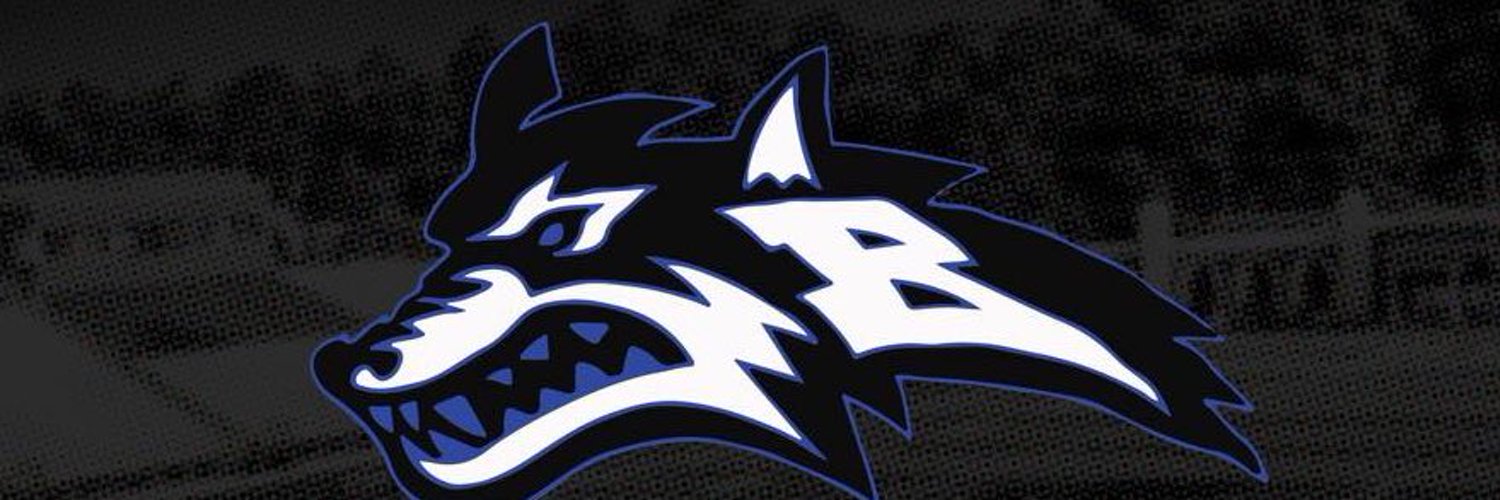 Basic Wolves Football Profile Banner