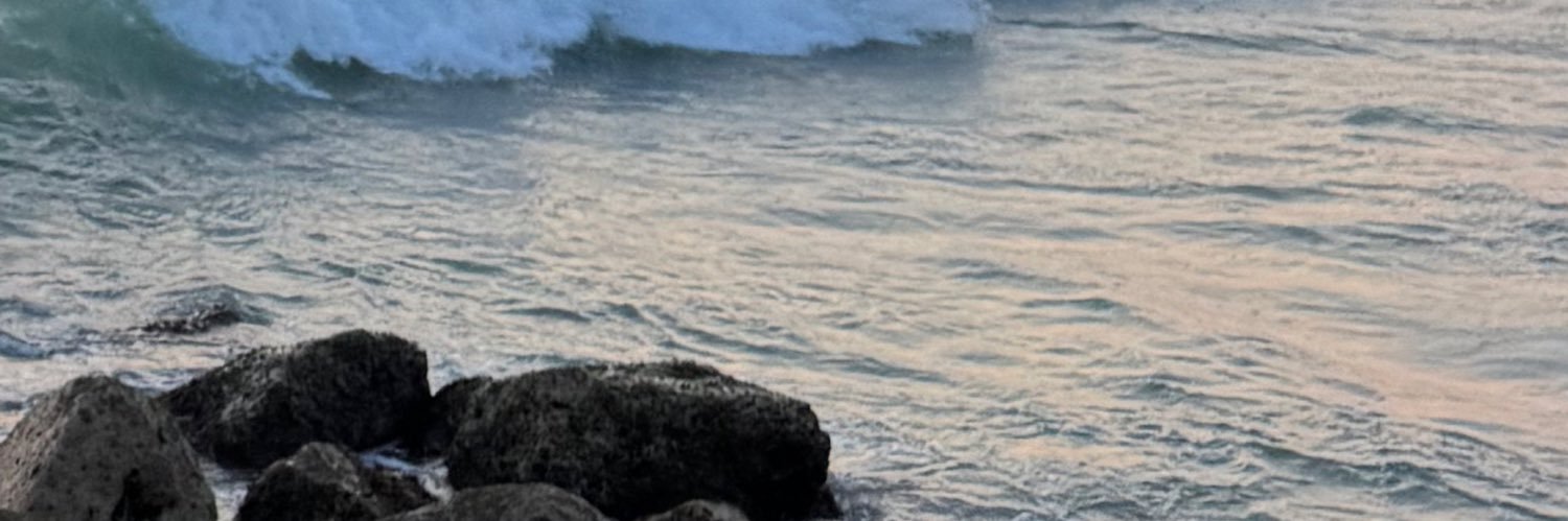 MargaridaFaust6's profile banner image