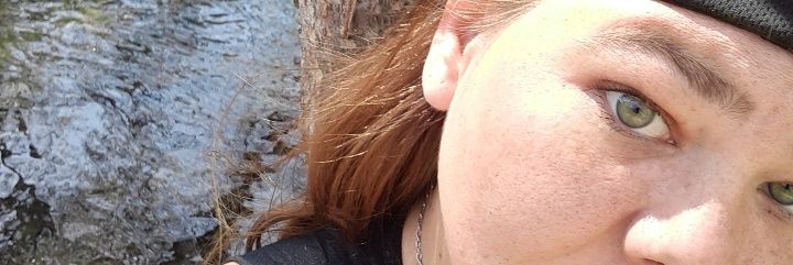 princess diva paranormal banner