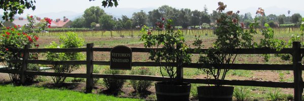 LMSKGP Profile Banner