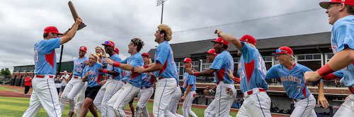 Hillcrest Baseball banner