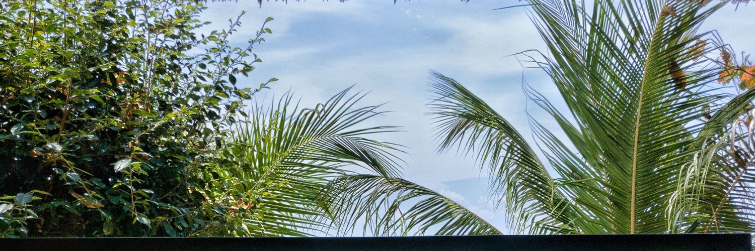 yogiwake's profile banner image