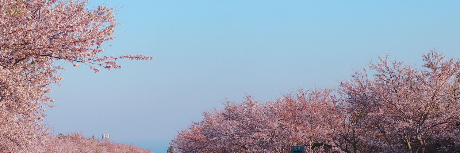 해빛, banner