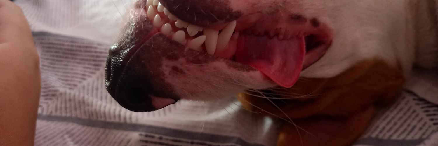 isaohnesorge's profile banner image