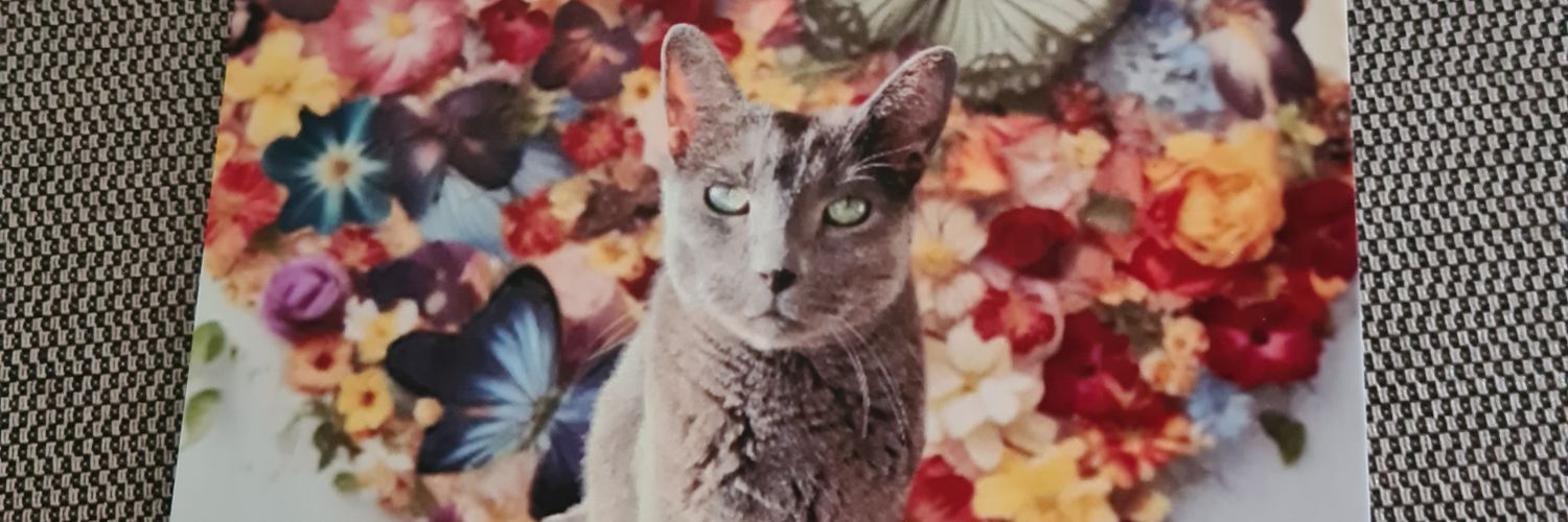 ansverhoef's profile banner image