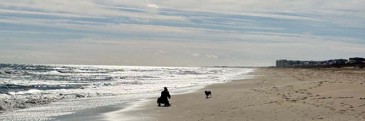 Bailey Bickley banner