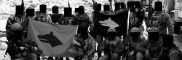 parabellummermi's profile banner image