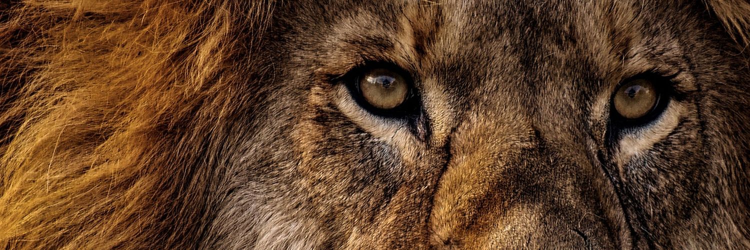 EQU (💙,🧡) banner