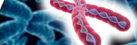 ARC Centre of Excellence in Synthetic Biology's banner