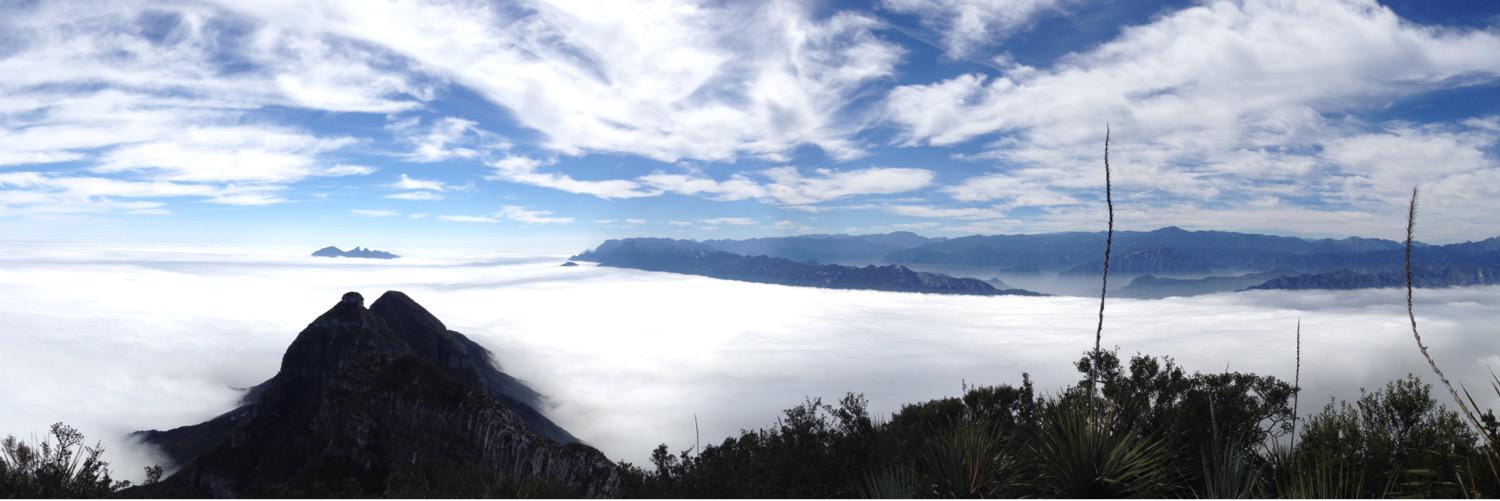 Erick Treviño banner