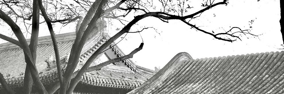 SYDTW2's profile banner image