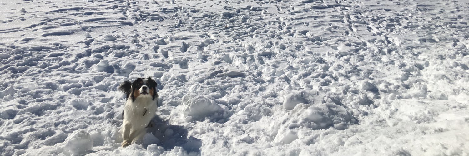 Adrien Westermann banner