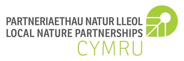 LNPCymru Profile Banner