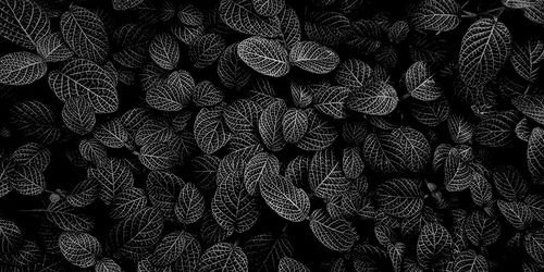 DSRammasoon's profile banner image
