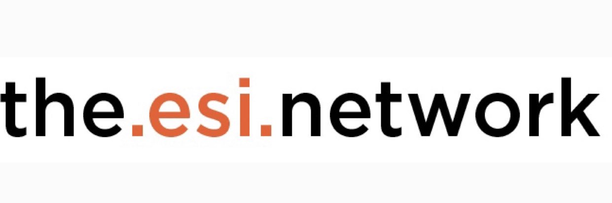 ᴛʜᴇ ᴇsɪ ɴᴇᴛᴡᴏʀᴋ banner