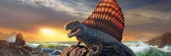 Le Strix 🇧🇪 banner