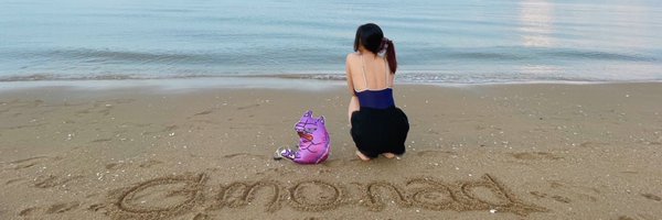 plittlemonkeyb Profile Banner