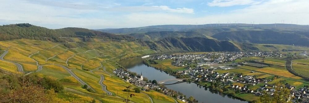 André Bittermann banner