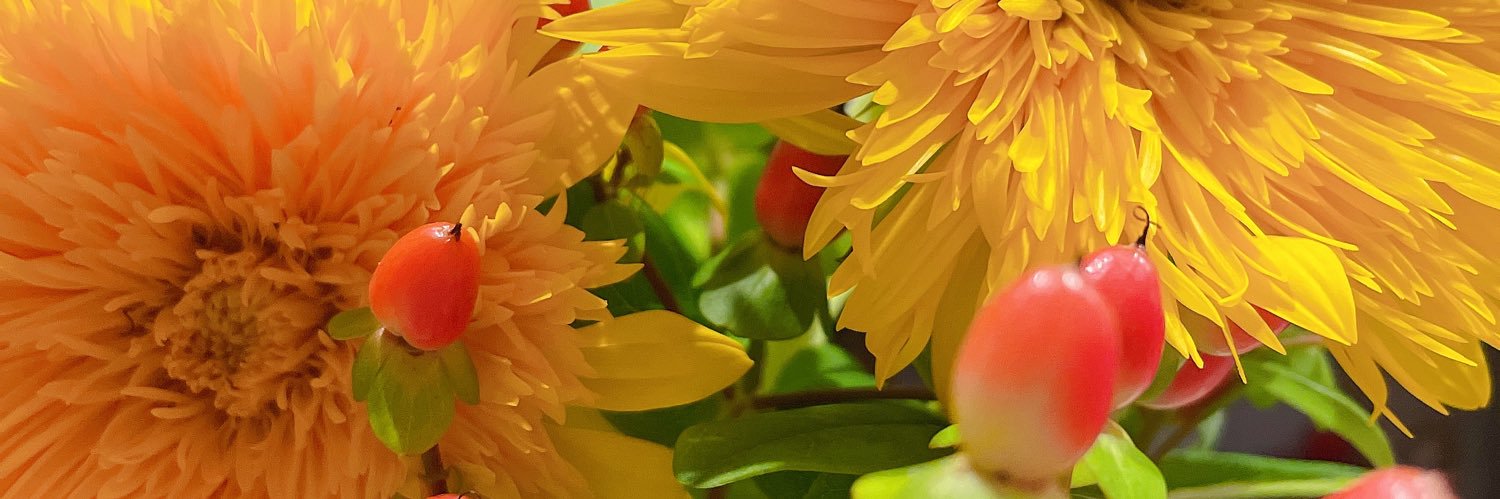 MayuPanda6's profile banner image