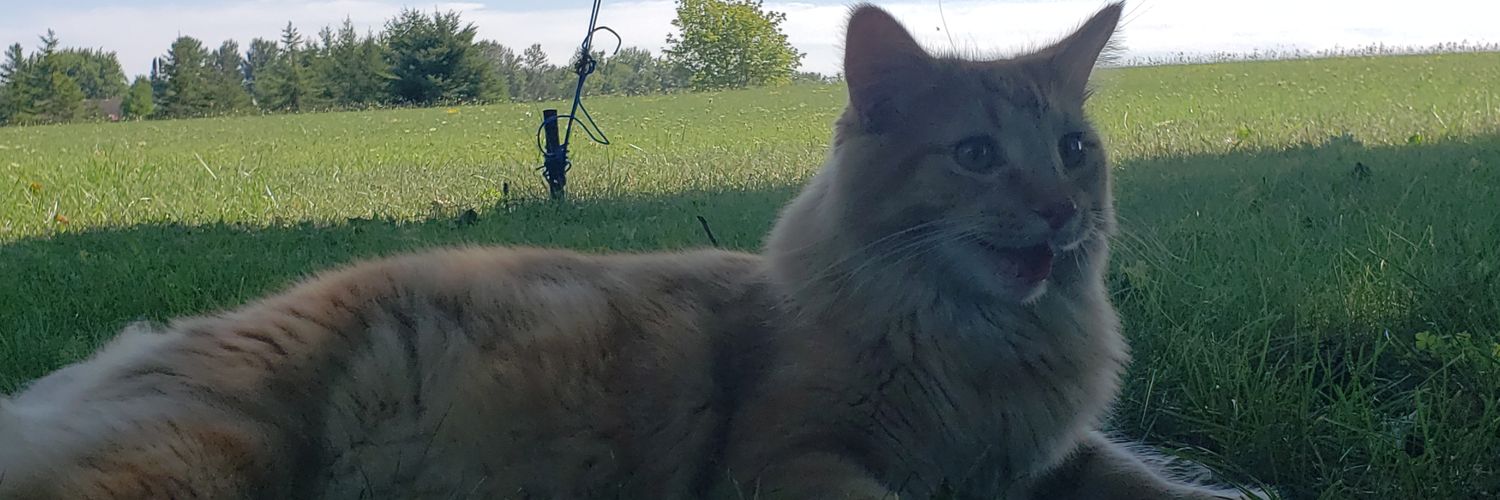 cunt_han's profile banner image